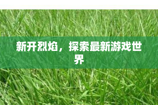 新开烈焰，探索最新游戏世界