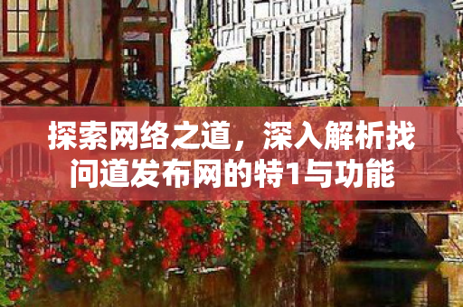 探索网络之道，深入解析找问道发布网的特1与功能