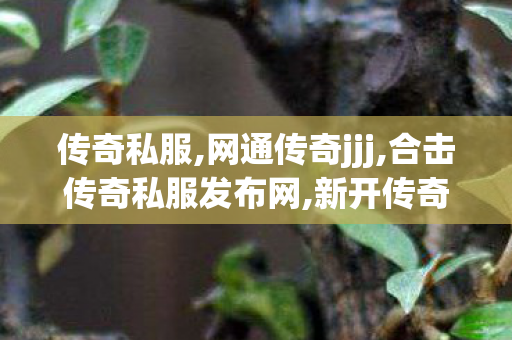 传奇私服,网通传奇jjj,合击传奇私服发布网,新开传奇最大网站,合击传奇私服发布网