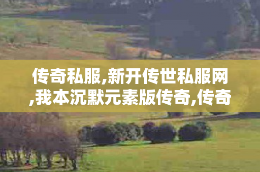 传奇私服,新开传世私服网,我本沉默元素版传奇,传奇世界手游,我本沉默元素版传奇