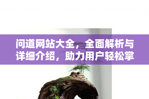 问道网站大全，全面解析与详细介绍，助力用户轻松掌握网络资源