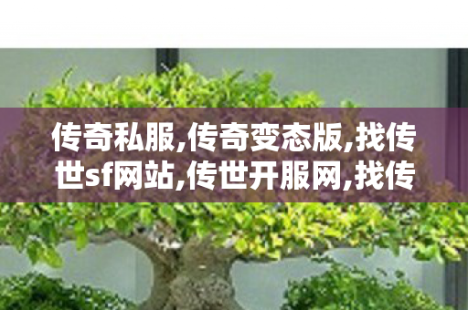 传奇私服,传奇变态版,找传世sf网站,传世开服网,找传世sf网站