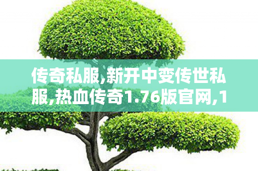 传奇私服,新开中变传世私服,热血传奇1.76版官网,176sf网站,热血传奇1.76版官网