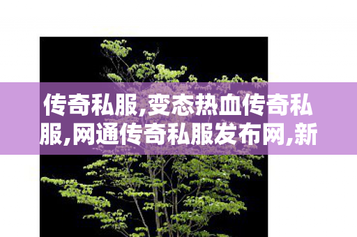 传奇私服,变态热血传奇私服,网通传奇私服发布网,新开英雄传奇私服,网通传奇私服发布网