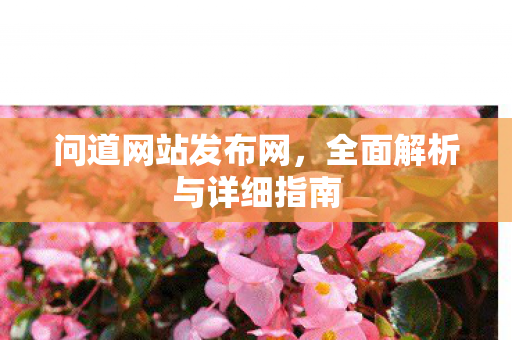 问道网站发布网，全面解析与详细指南