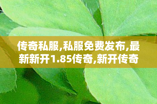 传奇私服,私服免费发布,最新新开1.85传奇,新开传奇世界世私服,最新新开1.85传奇