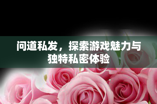 问道私发，探索游戏魅力与独特私密体验