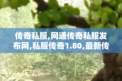 传奇私服,网通传奇私服发布网,私服传奇1.80,最新传世sf网站,私服传奇1.80