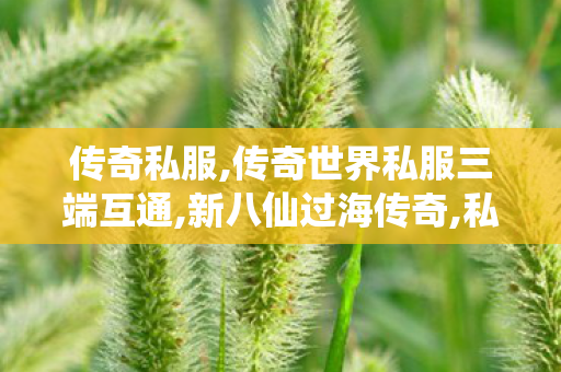 传奇私服,传奇世界私服三端互通,新八仙过海传奇,私服免费发布,新八仙过海传奇
