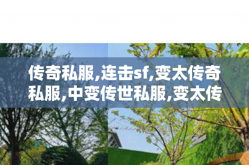 传奇私服,连击sf,变太传奇私服,中变传世私服,变太传奇私服