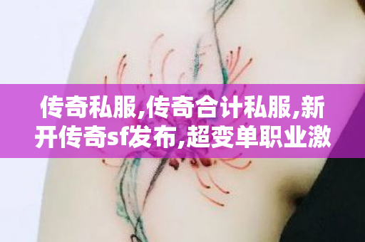 传奇私服,传奇合计私服,新开传奇sf发布,超变单职业激活码,新开传奇sf发布