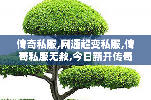 传奇私服,网通超变私服,传奇私服无赦,今日新开传奇世界sf,传奇私服无赦