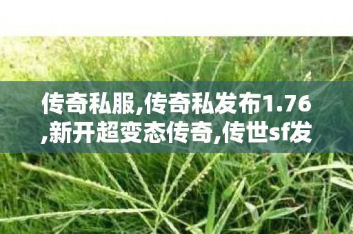 传奇私服,传奇私发布1.76,新开超变态传奇,传世sf发布网新服,新开超变态传奇
