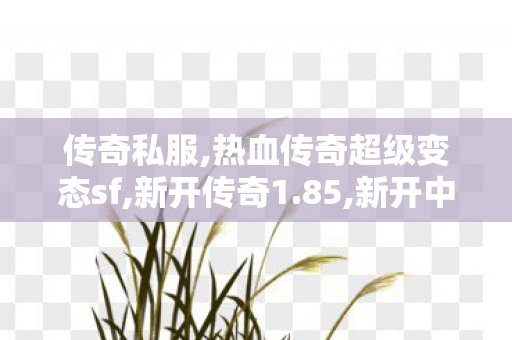 传奇私服,热血传奇超级变态sf,新开传奇1.85,新开中变传世网站,新开传奇1.85