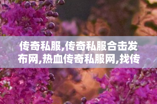 传奇私服,传奇私服合击发布网,热血传奇私服网,找传奇世界私服发布网,热血传奇私服网