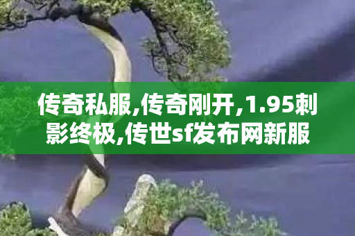 传奇私服,传奇刚开,1.95刺影终极,传世sf发布网新服,1.95刺影终极