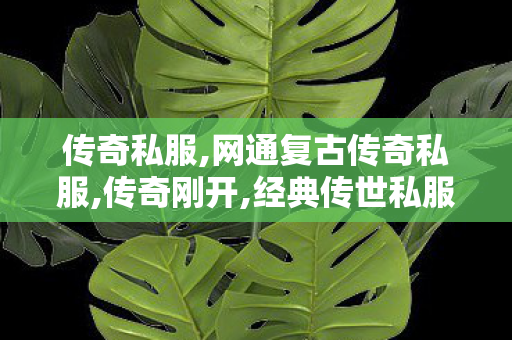 传奇私服,网通复古传奇私服,传奇刚开,经典传世私服,传奇刚开