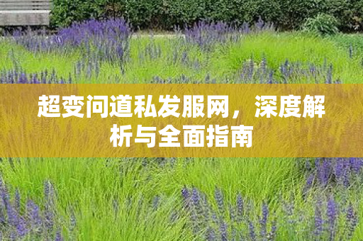 超变问道私发服网，深度解析与全面指南