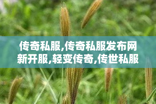 传奇私服,传奇私服发布网新开服,轻变传奇,传世私服发布站,轻变传奇