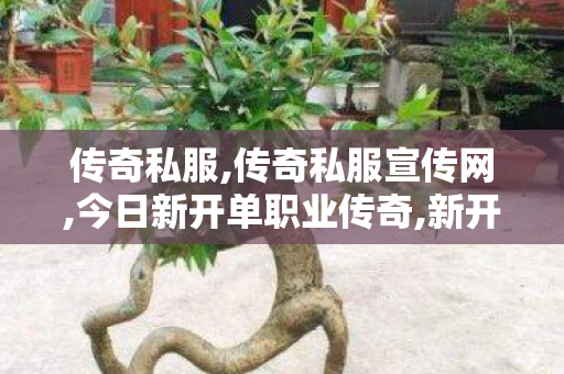传奇私服,传奇私服宣传网,今日新开单职业传奇,新开变态传世私服,今日新开单职业传奇
