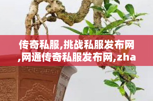 传奇私服,挑战私服发布网,网通传奇私服发布网,zhaosifu,网通传奇私服发布网