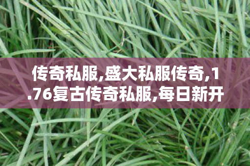 传奇私服,盛大私服传奇,1.76复古传奇私服,每日新开传世私服,1.76复古传奇私服