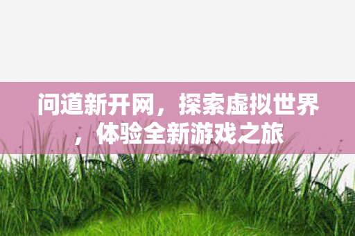 问道新开网，探索虚拟世界，体验全新游戏之旅