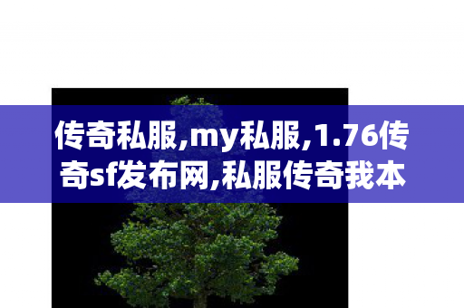 传奇私服,my私服,1.76传奇sf发布网,私服传奇我本沉默,1.76传奇sf发布网