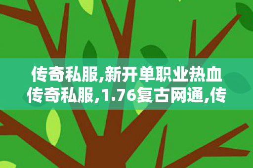 传奇私服,新开单职业热血传奇私服,1.76复古网通,传奇私服1.80发布网,1.76复古网通