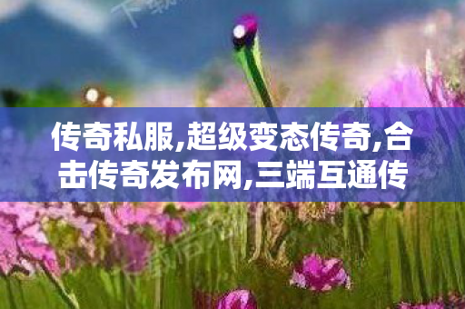 传奇私服,超级变态传奇,合击传奇发布网,三端互通传奇手游网站,合击传奇发布网