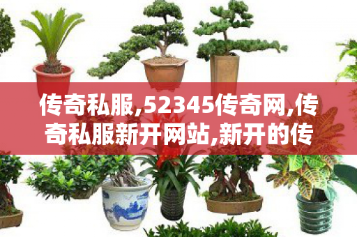 传奇私服,52345传奇网,传奇私服新开网站,新开的传奇世界私服,传奇私服新开网站
