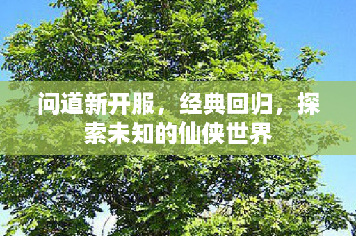 问道新开服，经典回归，探索未知的仙侠世界