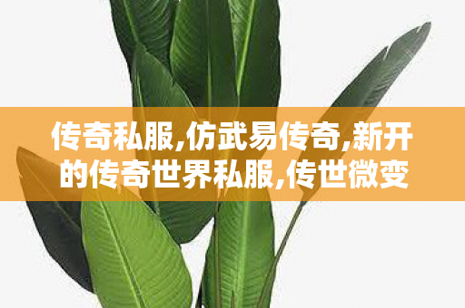 传奇私服,仿武易传奇,新开的传奇世界私服,传世微变私服,新开的传奇世界私服