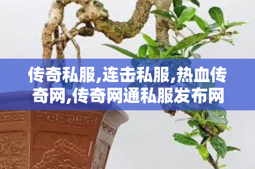 传奇私服,连击私服,热血传奇网,传奇网通私服发布网,热血传奇网