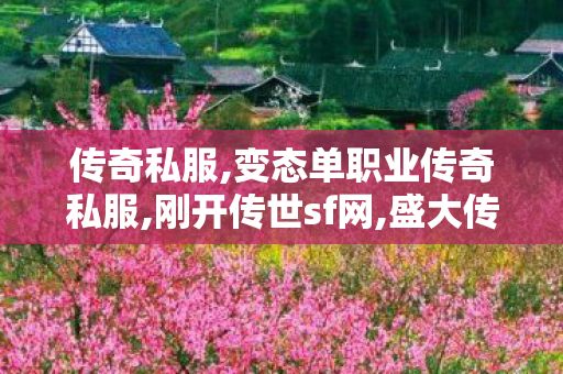 传奇私服,变态单职业传奇私服,刚开传世sf网,盛大传奇私服客户端,刚开传世sf网