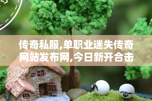 传奇私服,单职业迷失传奇网站发布网,今日新开合击私服,网通轻变传奇,今日新开合击私服
