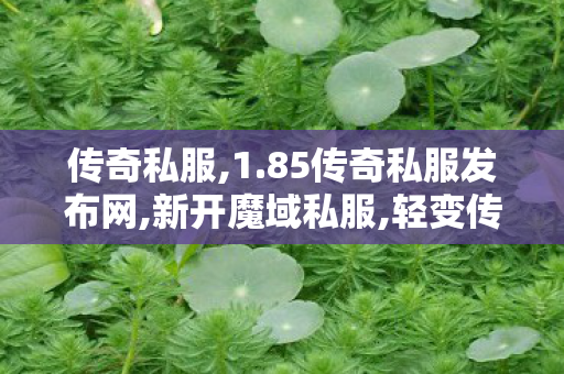 传奇私服,1.85传奇私服发布网,新开魔域私服,轻变传奇私服发布网,新开魔域私服