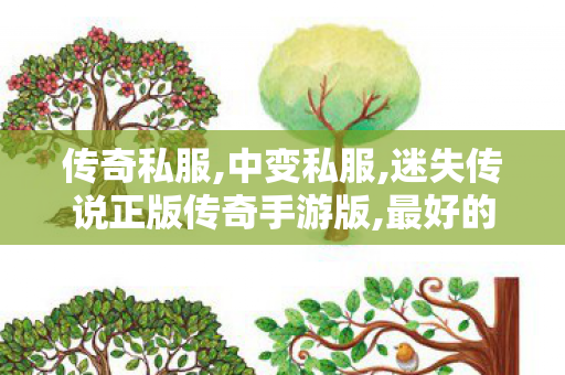 传奇私服,中变私服,迷失传说正版传奇手游版,最好的传奇私服,迷失传说正版传奇手游版