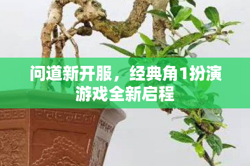 问道新开服，经典角1扮演游戏全新启程