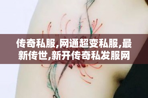传奇私服,网通超变私服,最新传世,新开传奇私发服网,最新传世