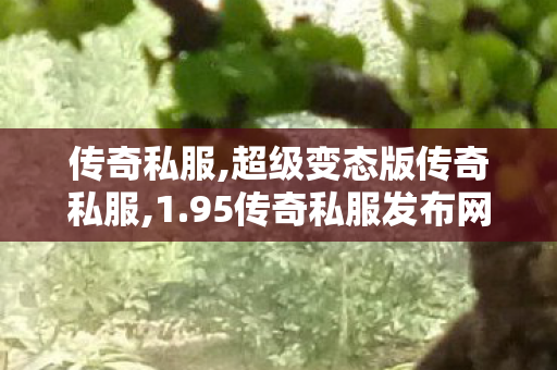 传奇私服,超级变态版传奇私服,1.95传奇私服发布网,找传世迷失,1.95传奇私服发布网