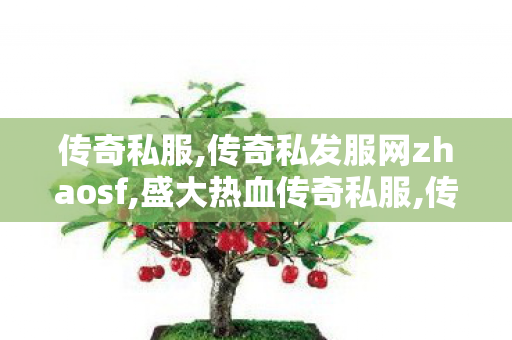 传奇私服,传奇私发服网zhaosf,盛大热血传奇私服,传奇世界新服网发布网,盛大热血传奇私服