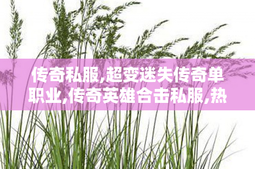 传奇私服,超变迷失传奇单职业,传奇英雄合击私服,热血传奇sf发布网,传奇英雄合击私服