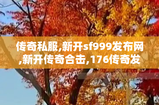 传奇私服,新开sf999发布网,新开传奇合击,176传奇发布网,新开传奇合击