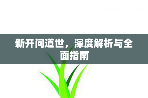 新开问道世，深度解析与全面指南