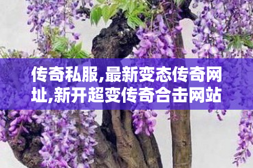 传奇私服,最新变态传奇网址,新开超变传奇合击网站,cs传奇世界私服,新开超变传奇合击网站