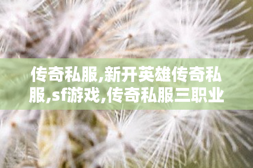 传奇私服,新开英雄传奇私服,sf游戏,传奇私服三职业发布网,sf游戏