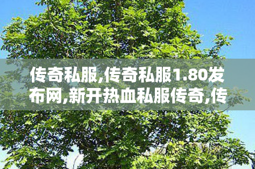 传奇私服,传奇私服1.80发布网,新开热血私服传奇,传世私服,新开热血私服传奇