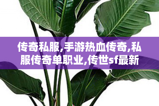 传奇私服,手游热血传奇,私服传奇单职业,传世sf最新发布网站,私服传奇单职业