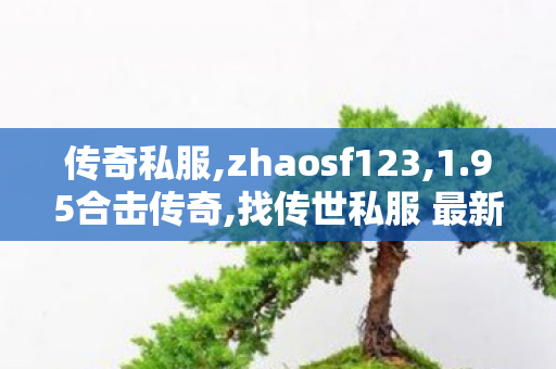 传奇私服,zhaosf123,1.95合击传奇,找传世私服 最新开,1.95合击传奇